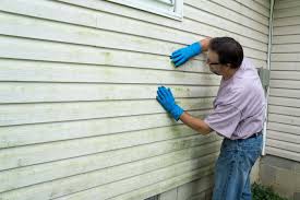 Professional Siding Installation & Repair in Medford, WI